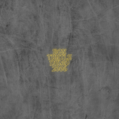 Lady Radiator: Box Turtle, Magnificent Isn't She (2006 Demo)