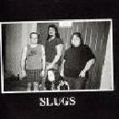 the slugs