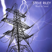 Steve Riley: Wired For Sound