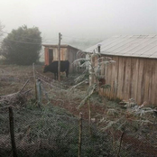 Frio Intenso da Minha Alma