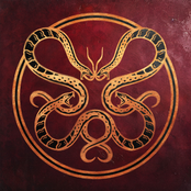 The Anatomy of Surviving