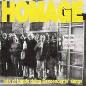 Homage: Lots Of Bands Doing Descendents Songs