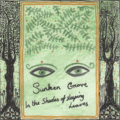 In the Shades of Sleeping Leaves