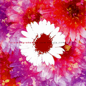 Disintegrated: A Cure Tribute Compilation