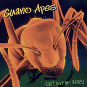 Guano Apes: Don't Give Me Names