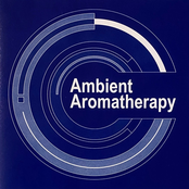 Ambient Aromatherapy