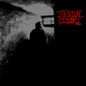 Eyes Between Worlds by Intestinal Disgorge