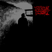 Stirring Beneath by Intestinal Disgorge