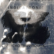 Psycho Trippinpunk