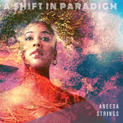 Aneesa Strings: A Shift in Paradigm