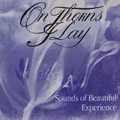 Sounds of Beautiful Experience