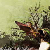 Birds Eating Birds - EP