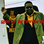 The Jungle Boss by Gene Ammons