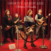 Service by Groovy Aardvark