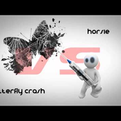 Horsie & Butterfly Crash