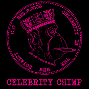 celebrity chimp