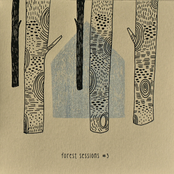 Forest Sessions #3