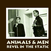 Waiting For My Stranger by Animals & Men