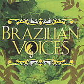 Brazilian Voices