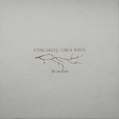 Branches