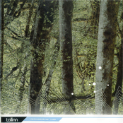 Tallinn psühhedeelne linn