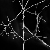 The Lord Who Gave Can Take Away