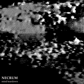 Necrum