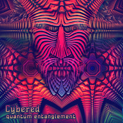 Quantum Entanglement