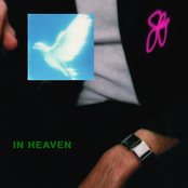 Bad Tuner: in heaven