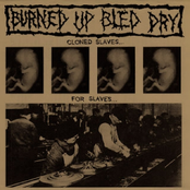 Below Zero by Burned Up Bled Dry