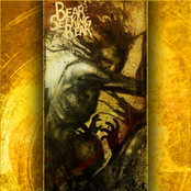 bearseekingbear