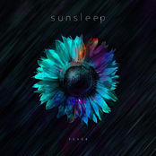 Sunsleep: Fever