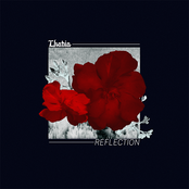 Reflection
