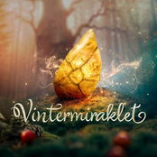 Vintermiraklet (Valdes Jul)
