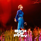 Bird of Pray (Vidbir 2025)