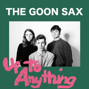 The Goon Sax: Up To Anything