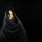 The Hissing of a Paper Crane