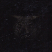 Personal & UnkleLuc Present: The Wild EP