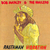 rastaman vibration