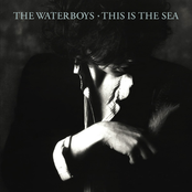 Waterboys - THE WHOLE OF THE MOON