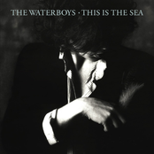 Medicine Bow by The Waterboys