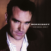 The Lazy Sunbathers by Morrissey