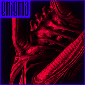 Enigma
