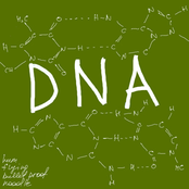 Dna by Hum Flying Bulletproof Noodle