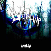 Anima