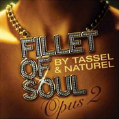 Fillet of Soul: Opus 2
