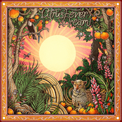 Citrus Fever Dream - EP