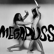 Megapuss Album Picture