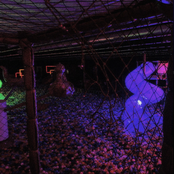 SOMBRAS DE UM OUTRO EU