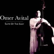 Sinai Memories by Omer Avital